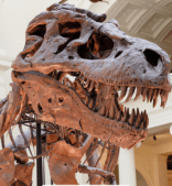 Skjermbilde 2019-07-12 10.14.36