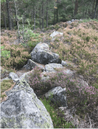 Skjermbilde 2020-07-17 13.44.15